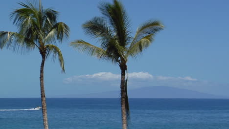 Wunderschöne-Palmen-Säumen-Eine-Aussicht-Auf-Das-Meer-In-Hawaii