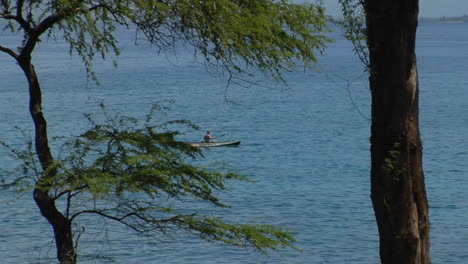 A-Kayak-Passing-A-Tropical-Island-As-Seen-Through-The-Forest