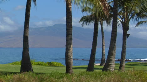 Eine-Wunderschöne-Insel-Mit-Palmen-Und-Fernen-Gipfeln-In-Hawaii