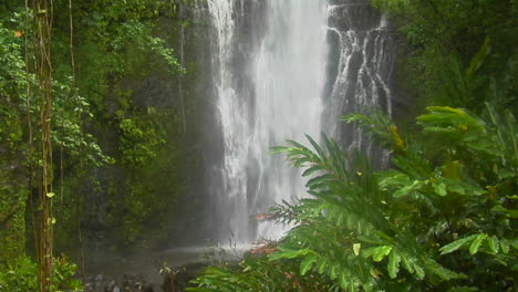 A-Tropical-Waterfall-Flows-Through-A-Dense-Rainforest-In-Hawaii-1