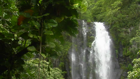 A-Tropical-Waterfall-Flows-Through-A-Dense-Rainforest-In-Hawaii-2