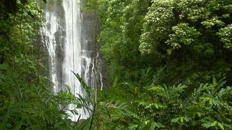 Una-Cascada-Tropical-Fluye-A-Través-De-Una-Densa-Selva-Tropical-En-Hawái-3