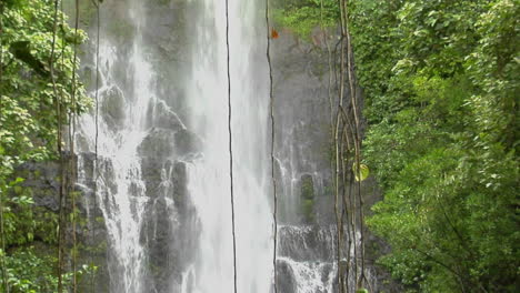 A-Tropical-Waterfall-Flows-Through-A-Dense-Rainforest-In-Hawaii-4