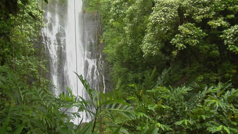 A-Tropical-Waterfall-Flows-Through-A-Dense-Rainforest-In-Hawaii-5