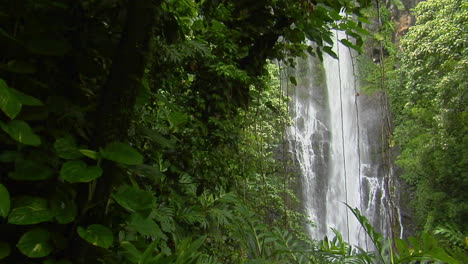 Una-Cascada-Tropical-Fluye-A-Través-De-Una-Densa-Selva-Tropical-En-Hawái-6