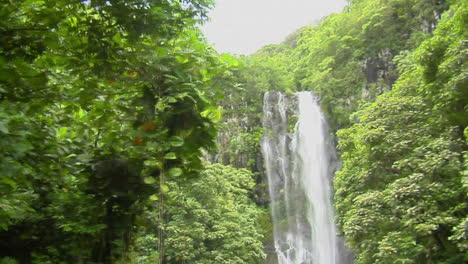 A-Moving-Shot-Through-Jungle-Reveals-A-Tropical-Waterfall