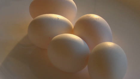 A-slow-zoom-into-golden-eggs
