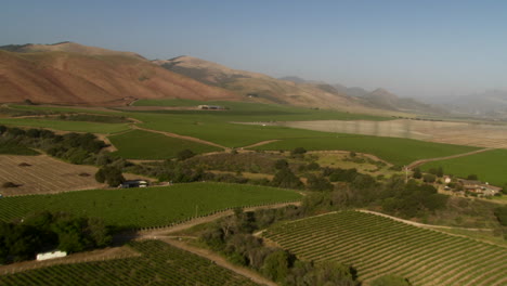 Helicopter-vista-aérea-of-a-vineyard-in-the-Santa-Maria-Valley-California