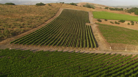 Helicopter-low-level-aerial-of-Santa-Barbara-County-vineyards-California-3