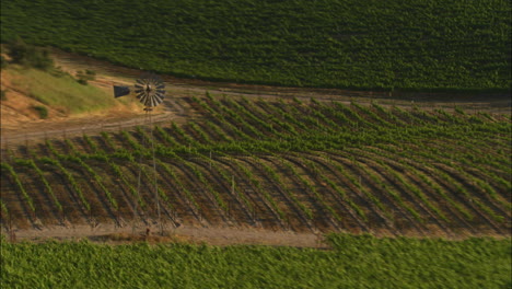 Hubschrauber-Low-Level-Antenne-Von-Santa-Barbara-County-Weinberge-Kalifornien-4