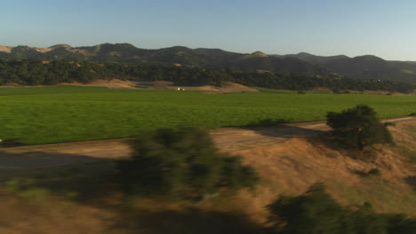 Helicopter-low-level-aerial-of-Santa-Barbara-County-vineyards-California-7
