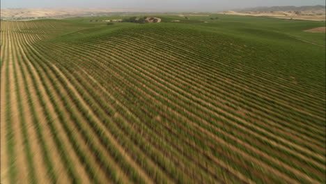 Helicopter-low-level-vista-aérea-of-Monterey-County-vineyards-California-2
