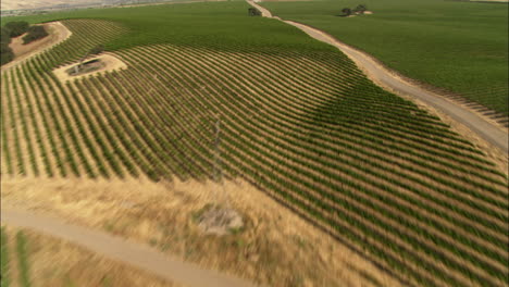 Helicopter-low-level-aerial-of-Monterey-County-vineyards-California-3