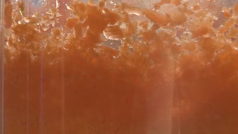 Close-up-of-carrots-in-a-food-processor