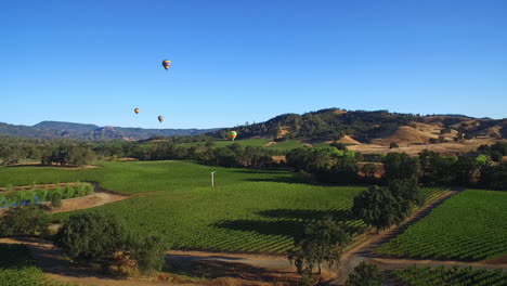 Eine-Niedrig-Ansteigende-Antenne-über-Reihen-Von-Weinbergen-Im-Nordkalifornischen-Sonoma-County-Mit-Heißluftballons-In-Entfernung-5