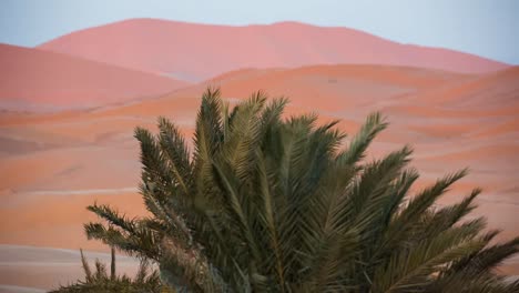 Merzouga-Sahara-Wüste-00