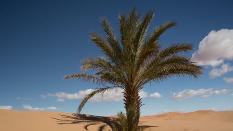 Merzouga-Sahara-Wüste-07