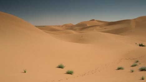 Merzouga-Sahara-Wüste-23