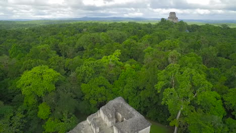 Spectacular-aerial-shot-over-the-treetops-and-Tikal-pyramids-in-Guatemala
