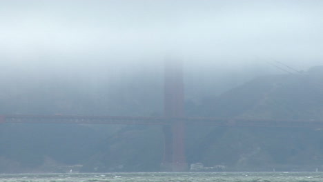 Una-Gaviota-Examina-El-Puente-Golden-Gate-Oscurecido-Por-La-Niebla-En-El-Fondo