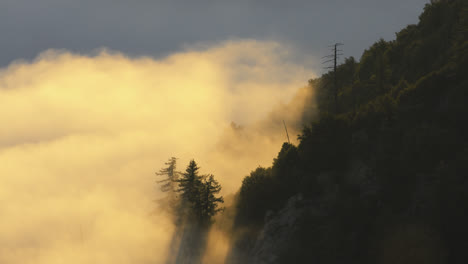 Timelapse-of-clouds-and-sun-rising-up-a-forested-mountain-side