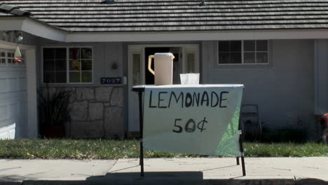 A-boy-offers-a-cup-at-a-lemonade-stand