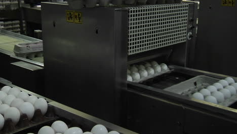 Maquinaria-Automatizada-Cierra-Las-Tapas-De-Cartón-De-Huevos-En-Una-Fábrica.