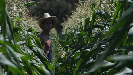 A-farmer-walks-through-a-corn-field