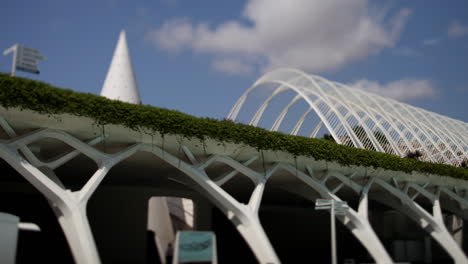 Ciudad-de-las-Artes-y-las-Ciencias-Valencia-3