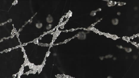 Ice-crystals-grow-in-the-water