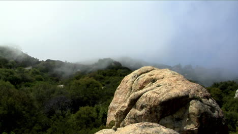 La-Niebla-Rueda-Sobre-Una-Ladera-Densamente-Boscosa-En-Las-Montañas-De-California