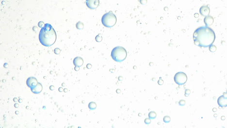 Oil-bubbles-form-interesting-liquid-patterns