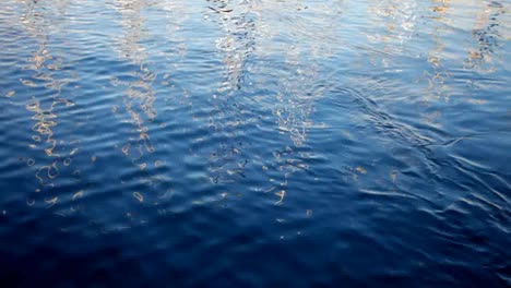 Water-Ripples-02