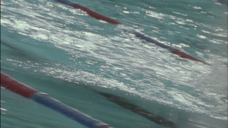 Swimmers-race-across-a-pool
