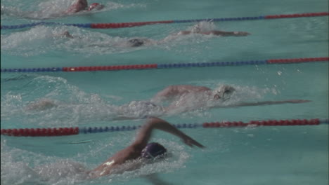 Los-Nadadores-Llegan-Al-Borde,-Se-Dan-La-Vuelta-Y-Comienzan-A-Nadar-De-Regreso