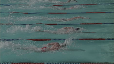 Schwimmer-Rennen-über-Einen-Pool-1