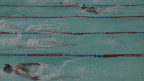 Schwimmer-Rennen-über-Einen-Pool-2