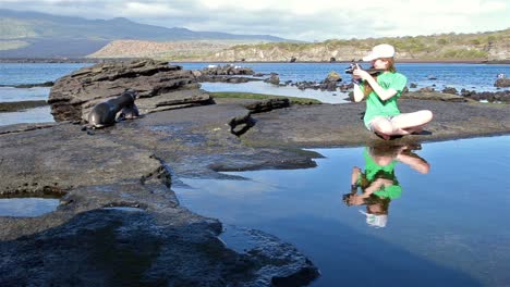 Junger-Fotograf,-Der-Zwei-Galapagos-Seelöwenwelpen-Genießt,-Die-Im-Galapagos-Nationalpark-Ecuador-Spielen?