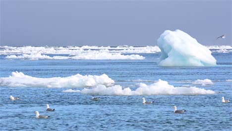 Flujo-En-Tiempo-Real-De-Hielo-Marino-Flotando-Junto-A-Icebergs-En-Tierra-En-El-Archipiélago-De-Svalbard,-Noruega-1