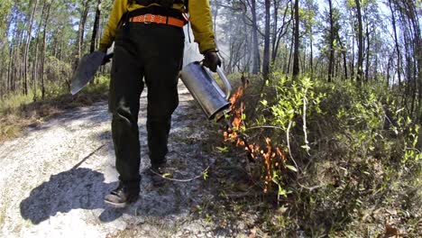 A-fire-crew-member-lighting-a-prescribed-fire-with-a-drip-torch-in-Moody-Forest-Natural-Are