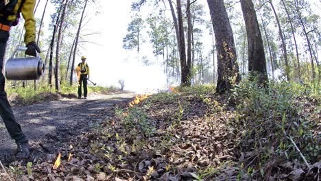Low-angle-of-a-fire-crew-member-lighting-a-prescribed-fire-with-a-drip-torch-in-Moody-Forest-Natural-Area-managed-in-Georgia