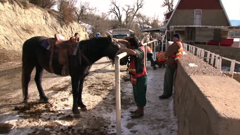 The-Wild-Horse-Inmate-Program-In-Colorado-Domesticates-Horses