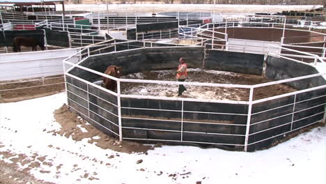 The-Wild-Horse-Inmate-Program-In-Colorado-Domesticates-Horses-2