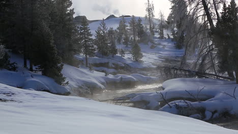 Invierno-En-El-Parque-Nacional-De-Yellowstone