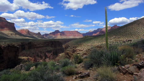 Schöner-Zeitraffer-über-Der-Wüste-Von-Grand-Canyon-Mit-Yucca-Pflanze