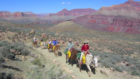 Un-Equipo-De-Equitación-Navega-Por-El-Sendero-Hasta-El-Fondo-Del-Gran-Cañón-1