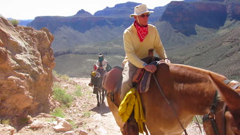 Un-Equipo-De-Equitación-Navega-Por-El-Sendero-Hasta-El-Fondo-Del-Gran-Cañón-2