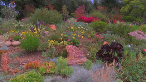 Kalifornier-Werden-Gebeten,-Während-Der-Dürre-Dürretolerante-Pflanzen-In-Ihren-Gärten-Zu-Pflanzen