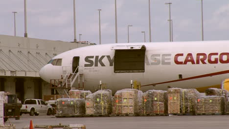 Planes-Offload-Cargo-From-International-Flights-At-An-Airport