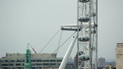 London-Eye-Pfanne-Roh-00